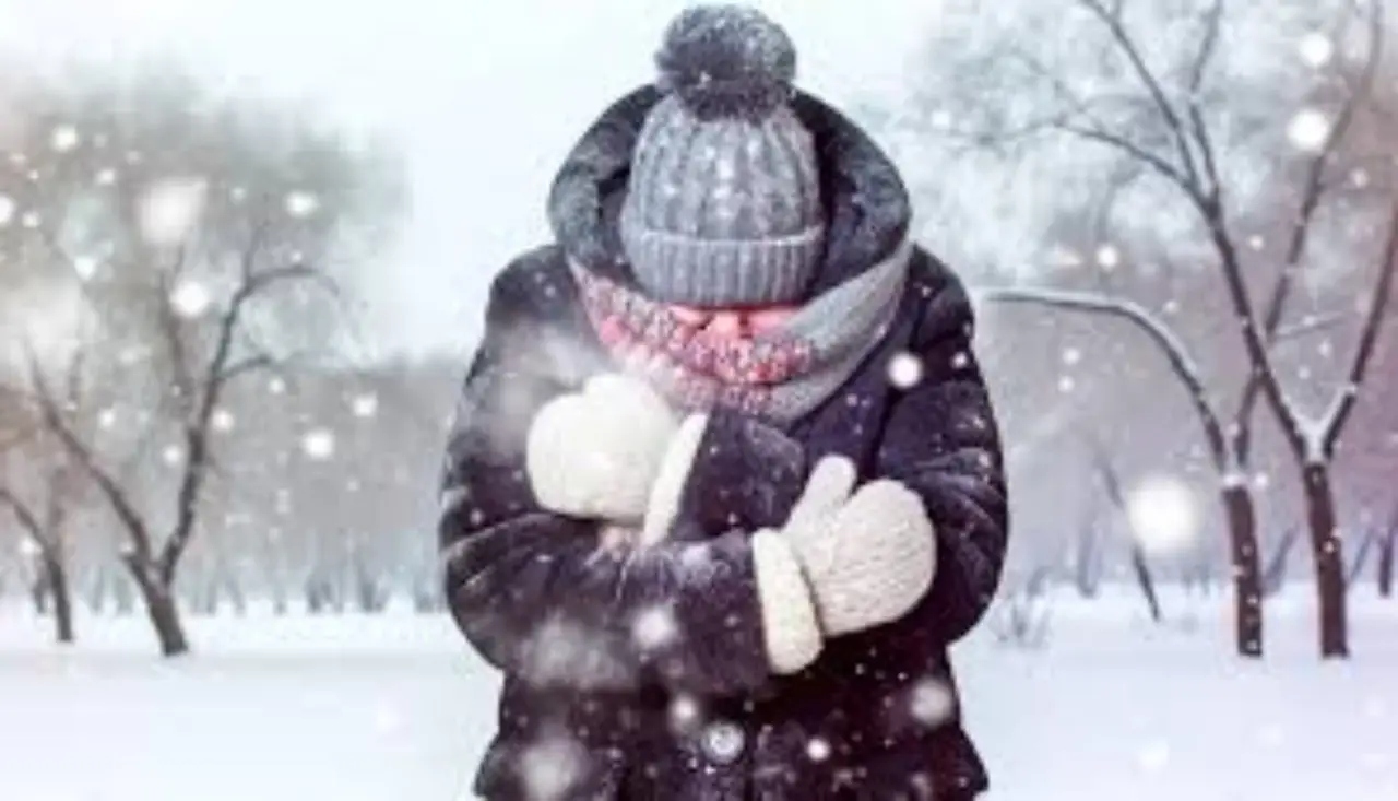 Un inverno glaciale che fa bene: è così che il Lago Erie regala nuova vita a pesci e uccelli