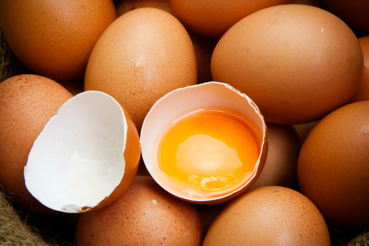 Allarme salute: i motivi per cui è meglio evitare di consumare le uova delle proprie galline Immagine selezionata