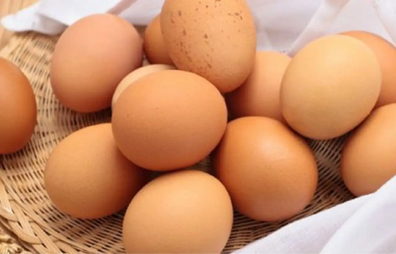 Allarme salute: i motivi per cui è meglio evitare di consumare le uova delle proprie galline Immagine selezionata