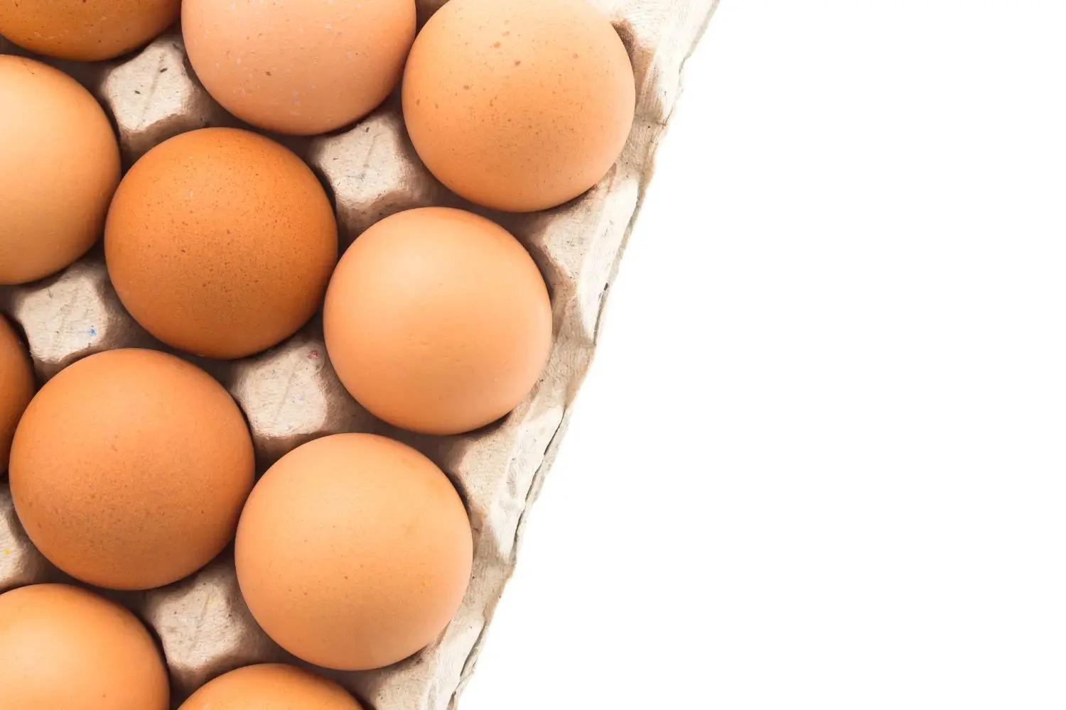 Allarme salute: i motivi per cui è meglio evitare di consumare le uova delle proprie galline Immagine selezionata