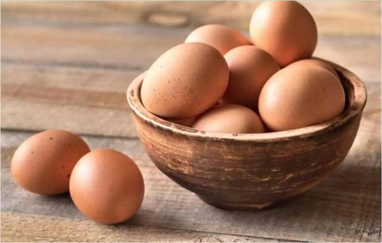 Allarme salute: i motivi per cui è meglio evitare di consumare le uova delle proprie galline