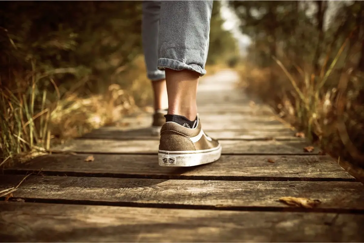 Meglio tapis roulant o camminata all'aperto? La scienza ci dice la verità Immagine selezionata