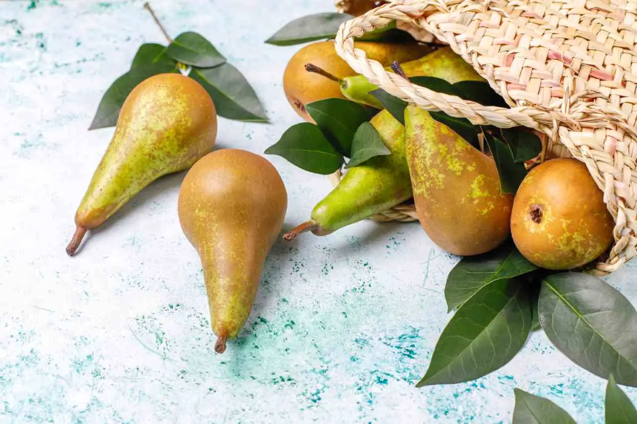 Mangiare pere a stomaco vuoto: ecco i benefici nascosti Immagine selezionata