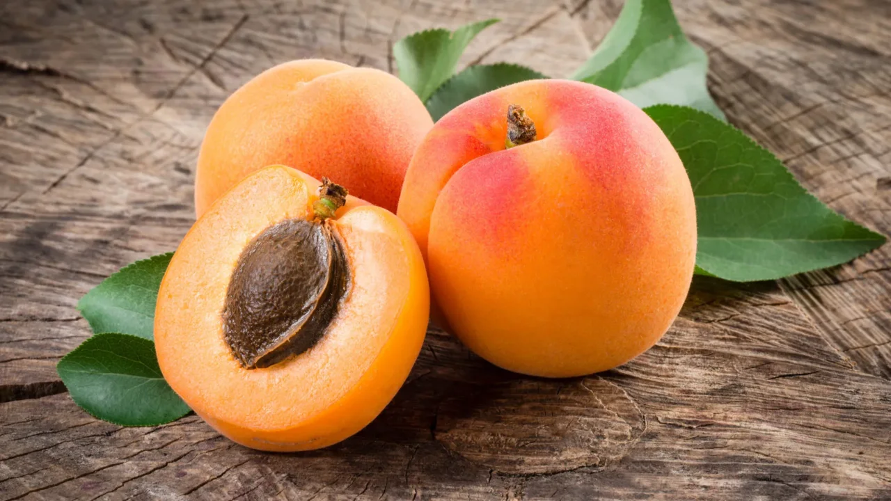 Colazione con albicocche: eccco perché migliora l’energia mattutina Immagine selezionata