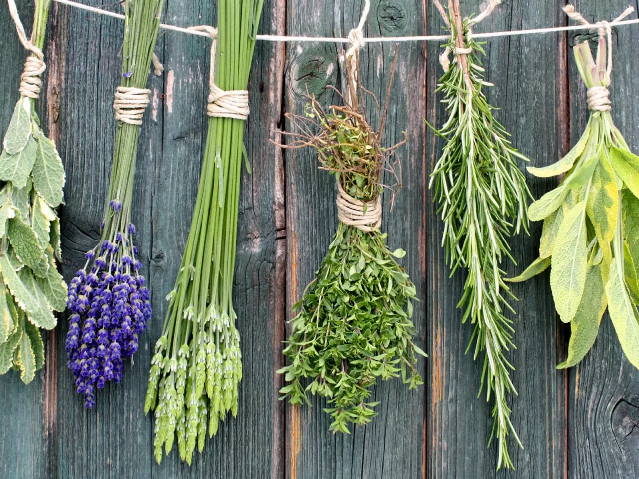 Come piantare le aromatiche in compagnia: ecco le combinazioni vincenti Come piantare le aromatiche in compagnia: ecco le combinazioni vincenti