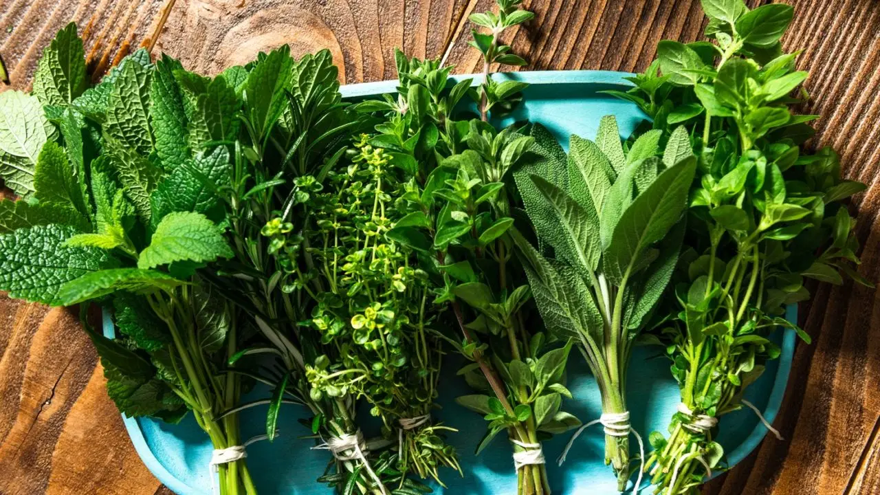 Come piantare le aromatiche in compagnia: ecco le combinazioni vincenti Immagine selezionata