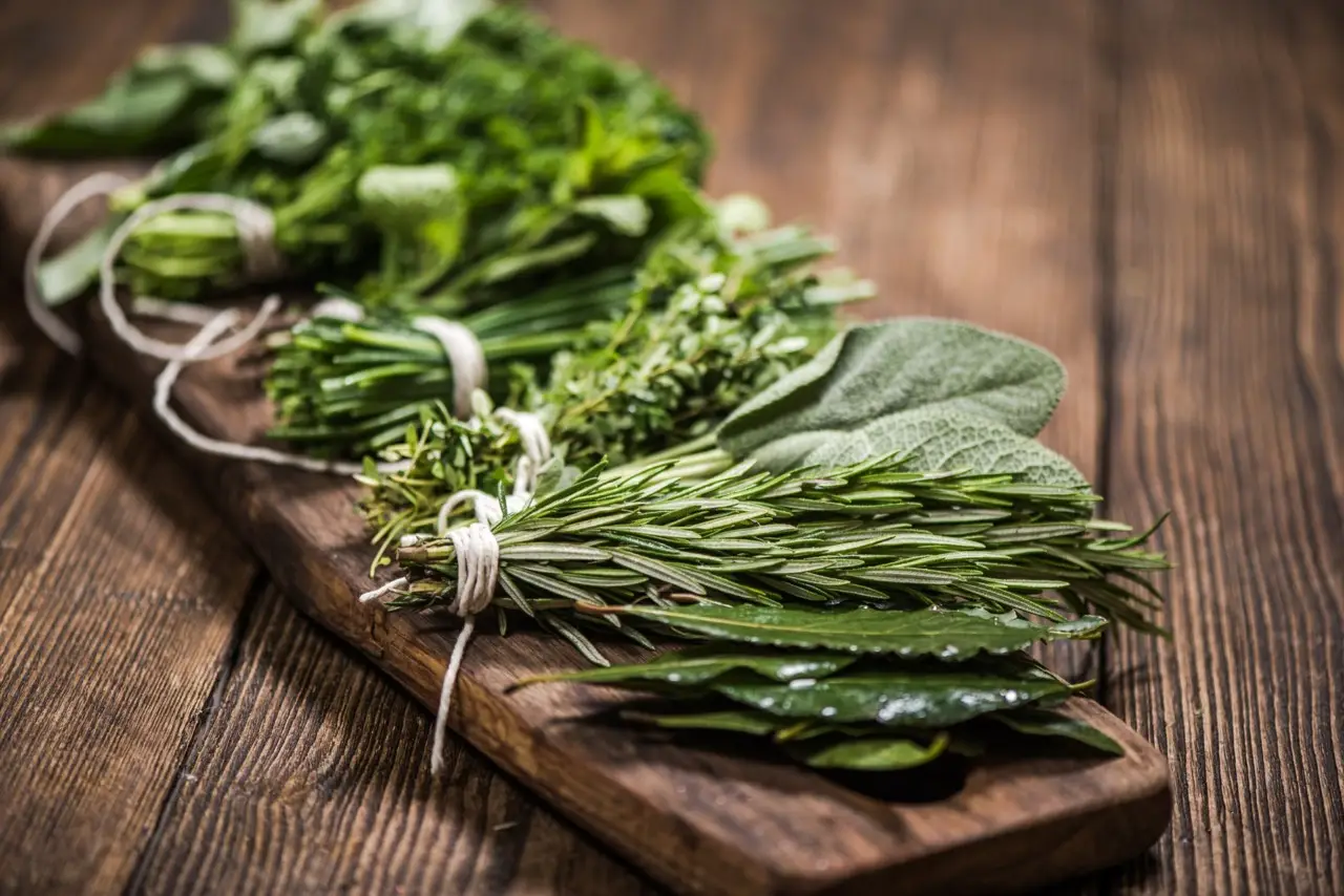 Come piantare le aromatiche in compagnia: ecco le combinazioni vincenti Immagine selezionata