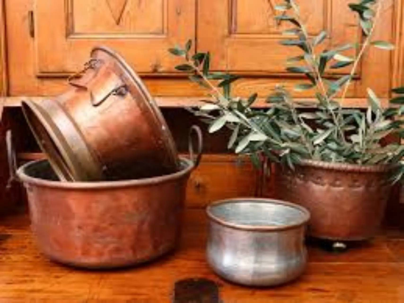 Non lasciare i vasi sotto la pioggia: ecco cosa può succede